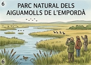 Aiguamolls